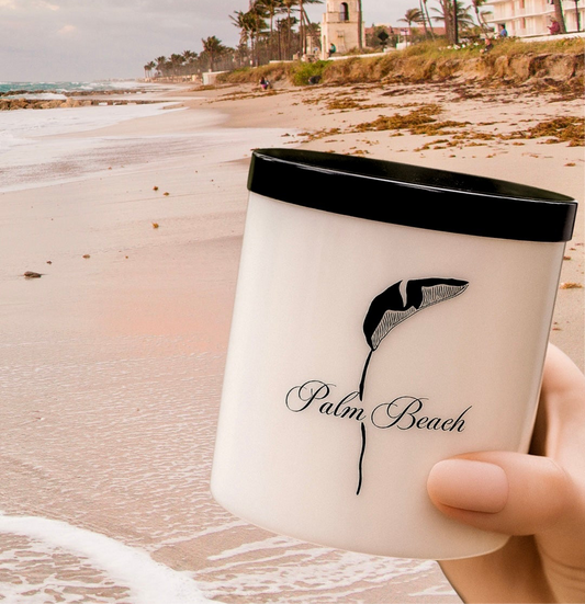 Citiscape Palm Beach