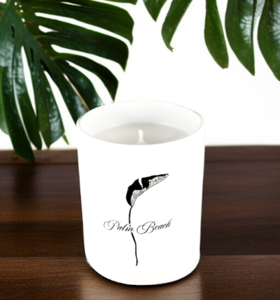 Citiscape Palm Beach